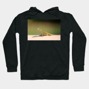 Carolina Anole Hoodie